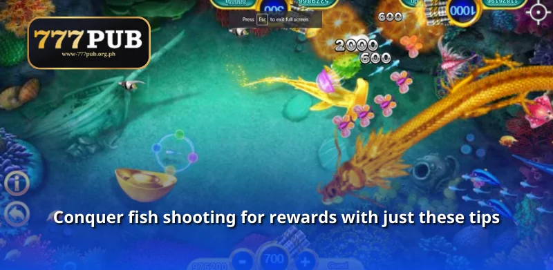 Conquer fish shooting for rewards with just these tips