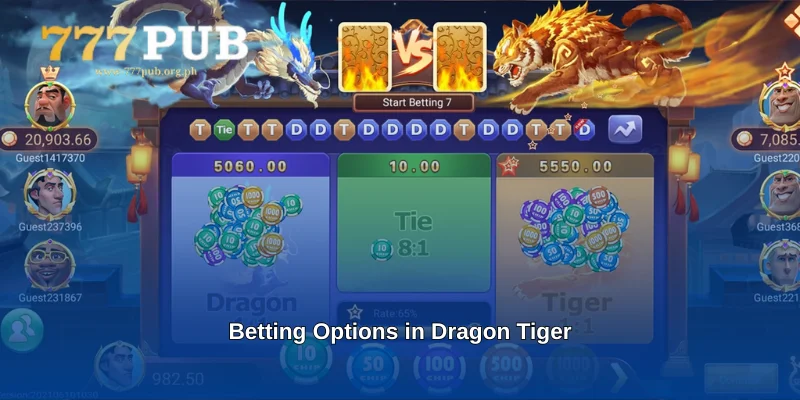 Betting Options in Dragon Tiger