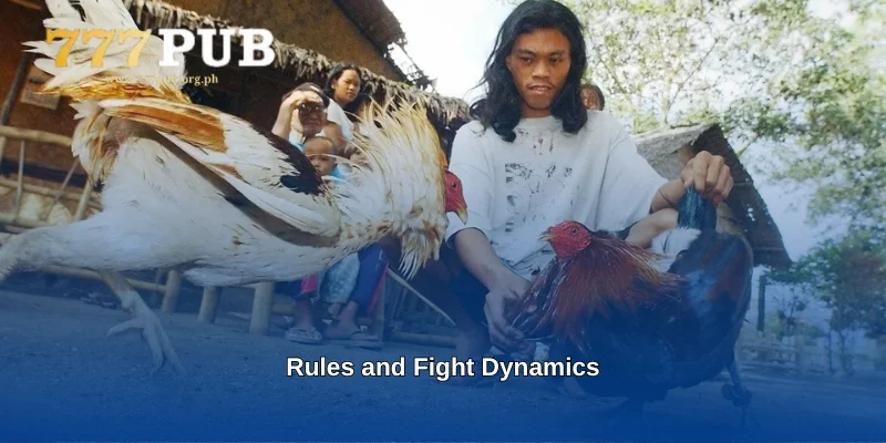 Rules and Fight Dynamics
