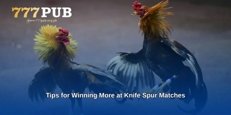 Tips for Winning More at Knife Spur Matches