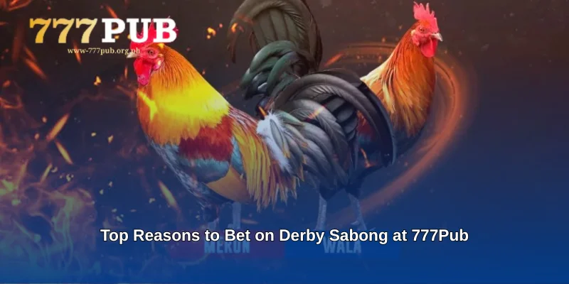 Top Reasons to Bet on Derby Sabong at 777Pub